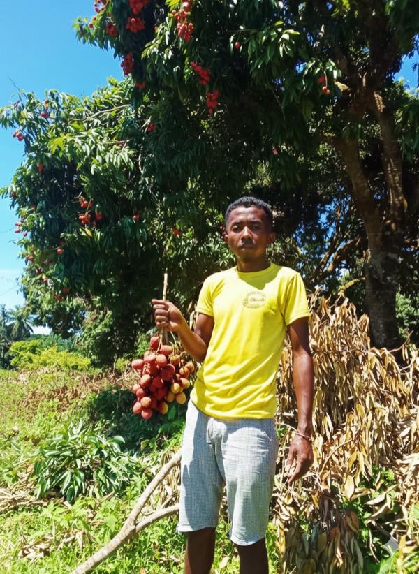 Impact Agronomique