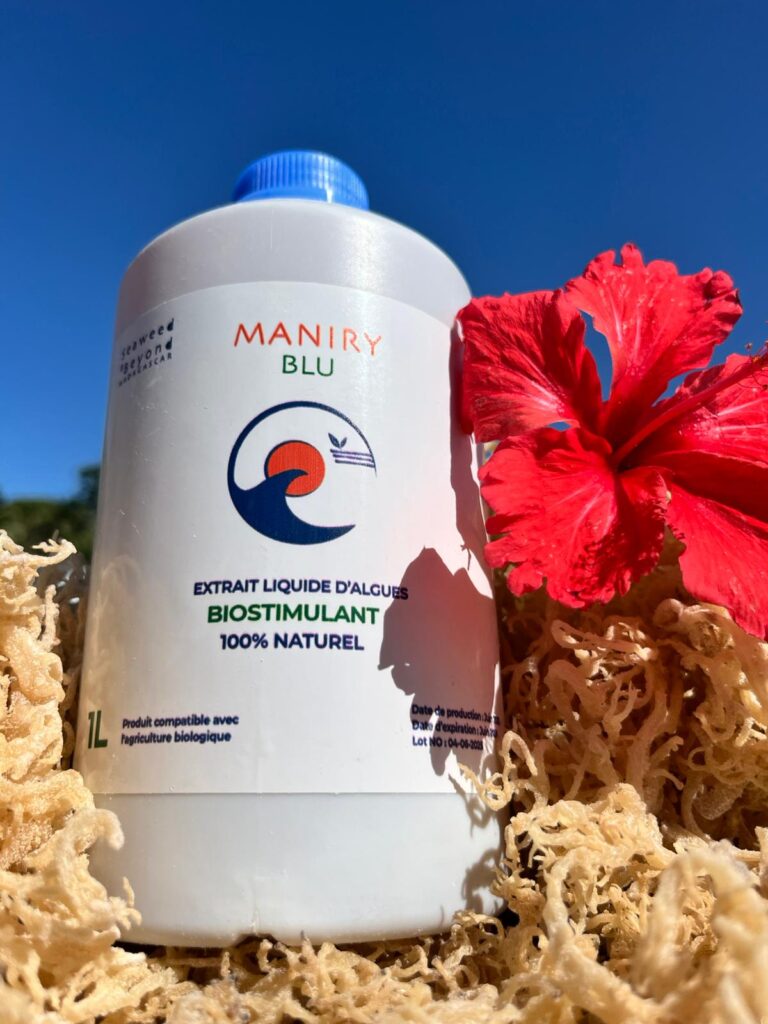 MANIRY BLU — Akora mampahery ny voly avy amin’ny alga na lomotra